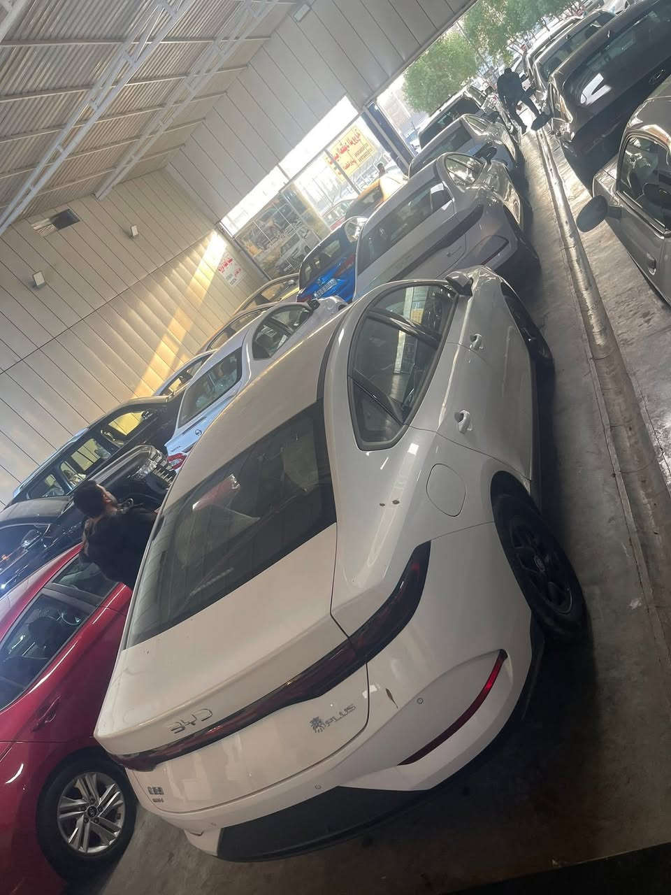 متوفر جن بلاص داخل زيتوني مرقم كامل لوحات وسنويه زيرو
السعر 19 

جن بلاص بدون رقم داخل ابيض 18500

جن بلاص داخل زيتوني بدون رقم 18500

دستروي بدون رقم زير 19

العنوان بغداد البياع الشارع الأول معرض الشيخ 

بيع او مراوس

***********
