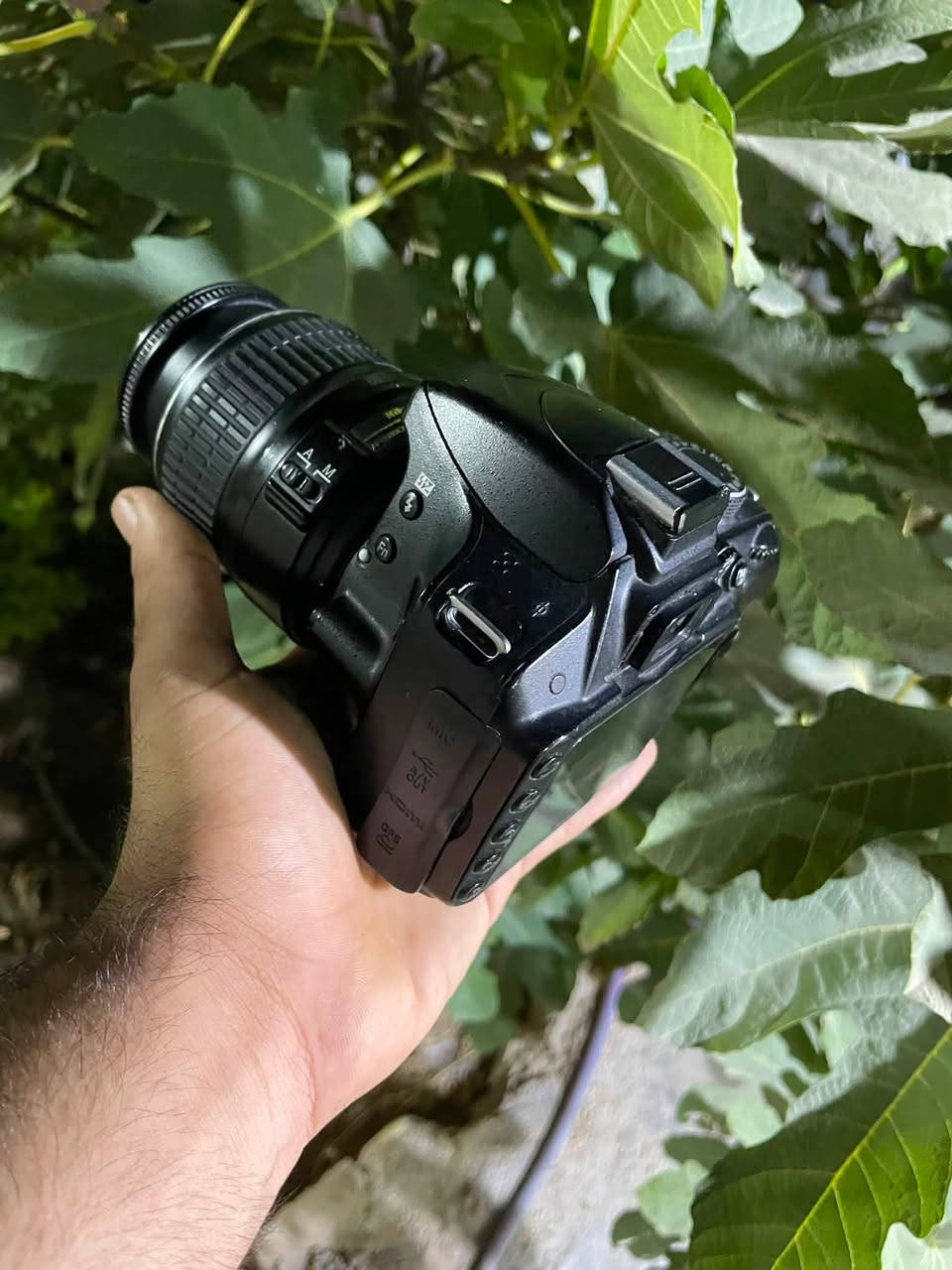 للبيع نيكون. 3200  D
NIKON 3200 

الملحقات 

شاحنه

بطاريات عدد 2

حزام كتف 

عدسه 55.18 VR اوتو فوكس 

الكامرا نظافة عالية استخدام شخصي 

المكان بغداد. للاستفسار اكثر سعرر خاص او الاتصال ***********
