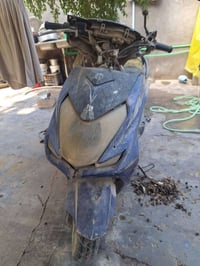 سكنس فحل • كوم حديد • البصرة الزبير