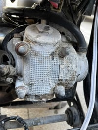 ماكس • عدلة • كفالة