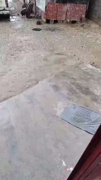 عربانه اوربيا للبيع معه زوج تاير بالون و4وياله حرفش للستفسار التصال ع ...