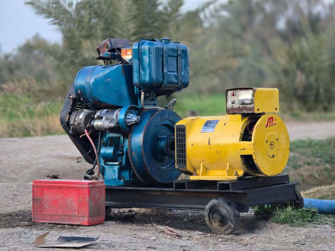 ١٠ حصان ابو السلف بلادي سلف وهندر 
 ٣٤ امبير شرط اخو الجديد مكفول من كل شي
العنوان ديالى تقاطع الوجيهية 
*********** المقدادية, ديالى
