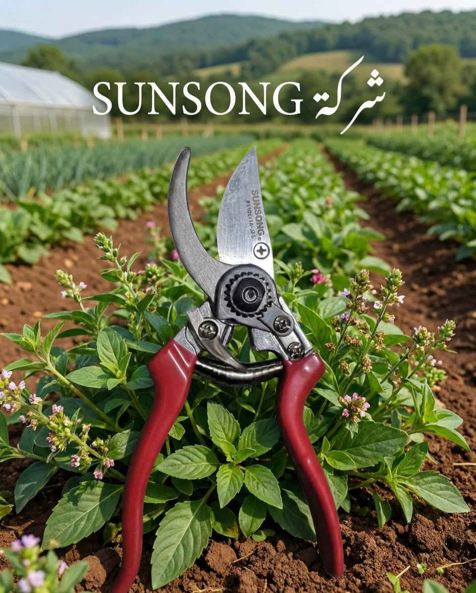 معدات زراعية
توصيل كل محافظات العراق
للحجز والاستفسار *********** واتس اب او خاص
#ادوات_زراعية
#مقص_تقليم
#مبيد
#تقليم_اشجار
#تطعيم_اشجار
#حدائق
