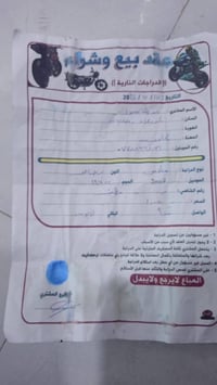 ماكس منغولي • كفاله عام • كله بلاد
