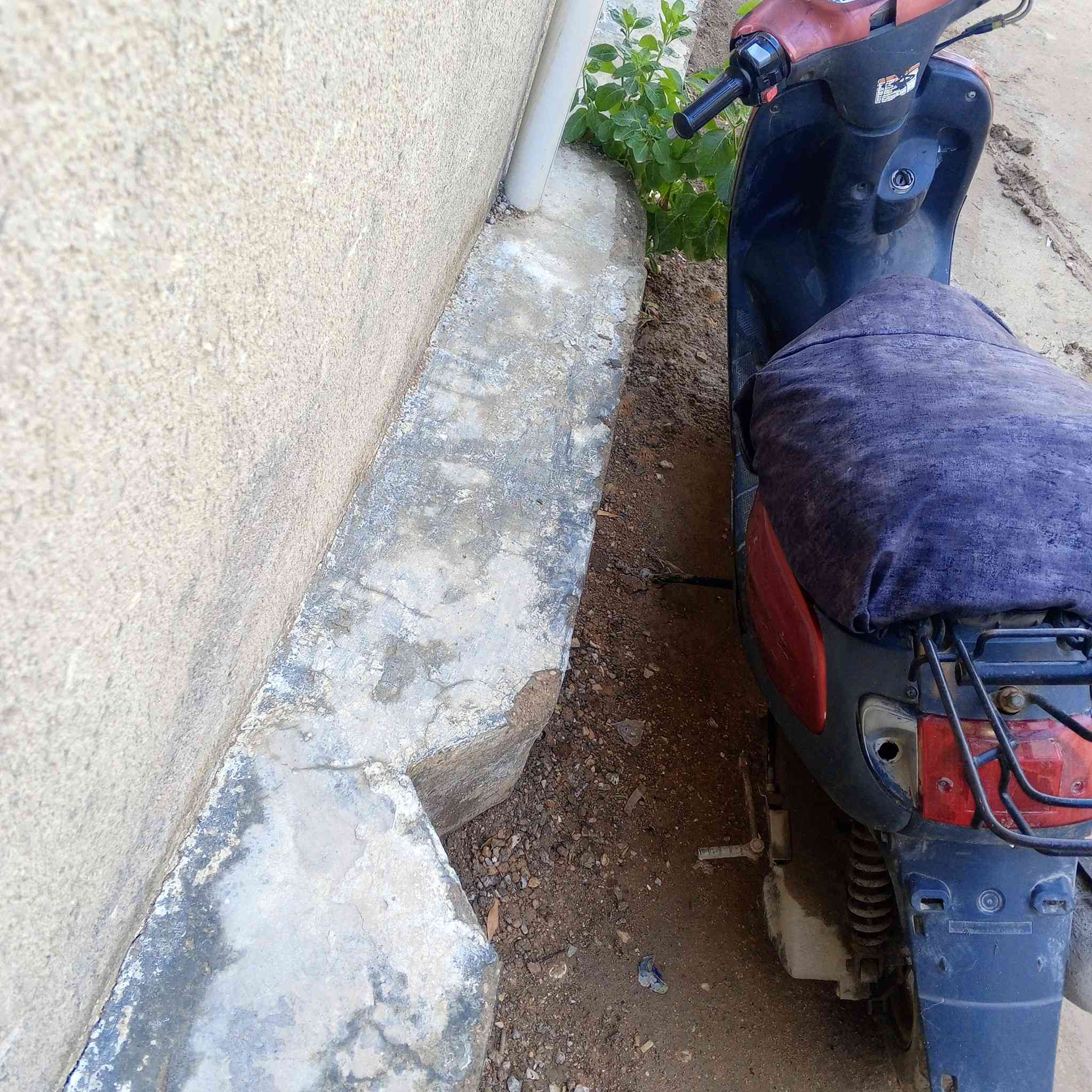 سلام عليكم دراجه منغولي فحل للبيع او مراوس بباسكل شحن سعره 200 وبيه مجال للاستفسار ***********
