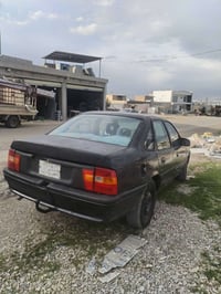 فيكترا • ١٩٩١ • السليمانية