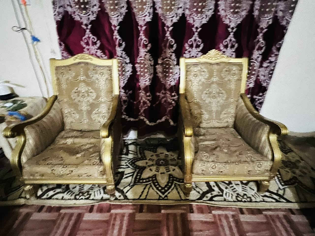 تخم ملكي البيع *********** وتساب بي
