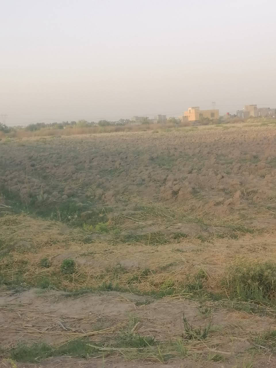 ٥٥ دونم عله طريق السنيه الدوانيه اول جسر وطب بل فرع التبليط ملأت الساده الرحمن قرب سيد محمد ع التبليط الفرعي وجهيته شط وكهرباء وماي اساله طابو زرعي ٢٥ سند *********** اصير مزارع لاتقسمه اصير مجمع سكني مشروع نخل حقول ***********
