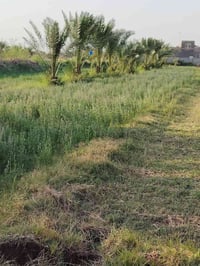١ دونم • طريق حله بغداد • سند ٢٥