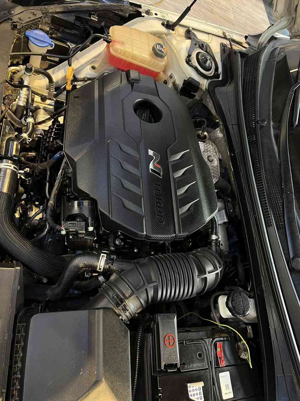 Hyndai Elantra 2022
موديل : 2022
كندي 🇨🇦 قطع وحده مبدله بس بنيد معوقين ديوانيه نهايه هاي السنه اتصير حره مغلفه PPFسياره كلها ماشيه 25 كيلو أخت الزيرو كير مكينه كفاله رسميات كفاله وكاله عامه بأسم المشتري شواصي لغود كفاله هاي طخته كدامكم صوره واضحه كلشي واضح حته المعوق كفاله 🧿🙏🏻
مكان سياره بصره💐

المحرك :2000تيربو

ماشية: 25 ألف كيلومتر

المواصفات:N 

كشن علامة N

كشنات كنتاره وجلدN

اناره داخليه 👌🏻٢٤ لون

تحكم ستيرن نورمال وسبورت

تحكم دبلات نورمال وسبورت

ابواب بصمة

بصمة تشغيل 

شحن وايرلس

شاشه كامله 

كاميرا

نظام صوت _𝐁𝐎𝐒𝐒

اشارة ترحيب

اشارة مرايا

اوتو ستوب

نقطة عمياء

تحديد سرعة

تحديد مسار

رادار امامي 

رادار جانبي 

حساسات جانبي 

حساسات خلفي

نظام _ 𝐍𝐎𝐑𝐌𝐀𝐋

نظام _ 𝐒𝐏𝐎𝐑𝐓

نظام _ N🚀🚀

كشنات هيتر

ستيرن هيتر

صندوق ذكي

لايتات ليد 3عدسات زينون 

بگلايت ليد

سعر: 168
رجاأ بس شراي يخابرني مراوس حسب رغبه ذا اكو سوناته كي فايف مراوس ☎️ رقمي
***********
