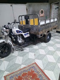 ستوته 2015 • اوراق اصولي • ناصريه مركز