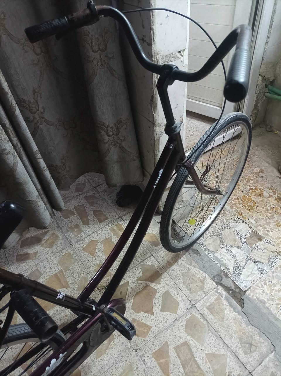 سلام عليكم باسكل للبيع نضيف كلشي ماعوزه غراضه موجودات بريك كدام وجاملغات بريك وره بل مكان صفاره اصلي ب60وبي مجال مكان كوفه شارع المعمل


**إذا كنت صاحب هذا الإعلان وتريد حذفه لأي سبب، رجاءا أرسل رسالة إلى الدعم الفني**