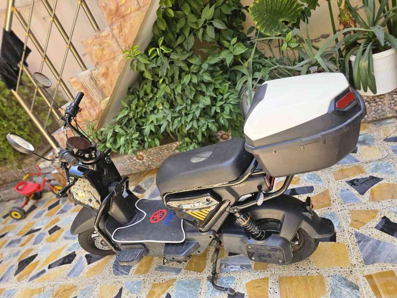 دراجة شحن نوع سيمبا للبيع.
خمس بطاريات شرط عالفحص تمشيك اقل شي ٣٠ كيلو

ثلاث سرع سرعتو ٥٥ 

الماطور كشرو نظيف اي عيب ما بي كدام العين 

الشاشة شغالة

ملاحظة: مبدل عقل اصلي وكيج السرعة ما يقرا

السعر ٣٥٠ الف
واتس: ***********
