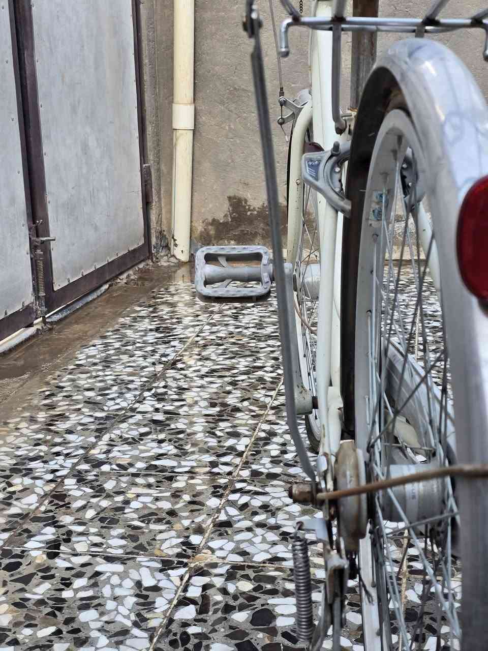 باسكل للبيع لون ابيض 3 سرعات حجم 26 تاير كدام بنجر والسيم مال سرعات مكطوع سعر 85 الف مكانه نجف قضاء المناذره


**إذا كنت صاحب هذا الإعلان وتريد حذفه لأي سبب، رجاءا أرسل رسالة إلى الدعم الفني**