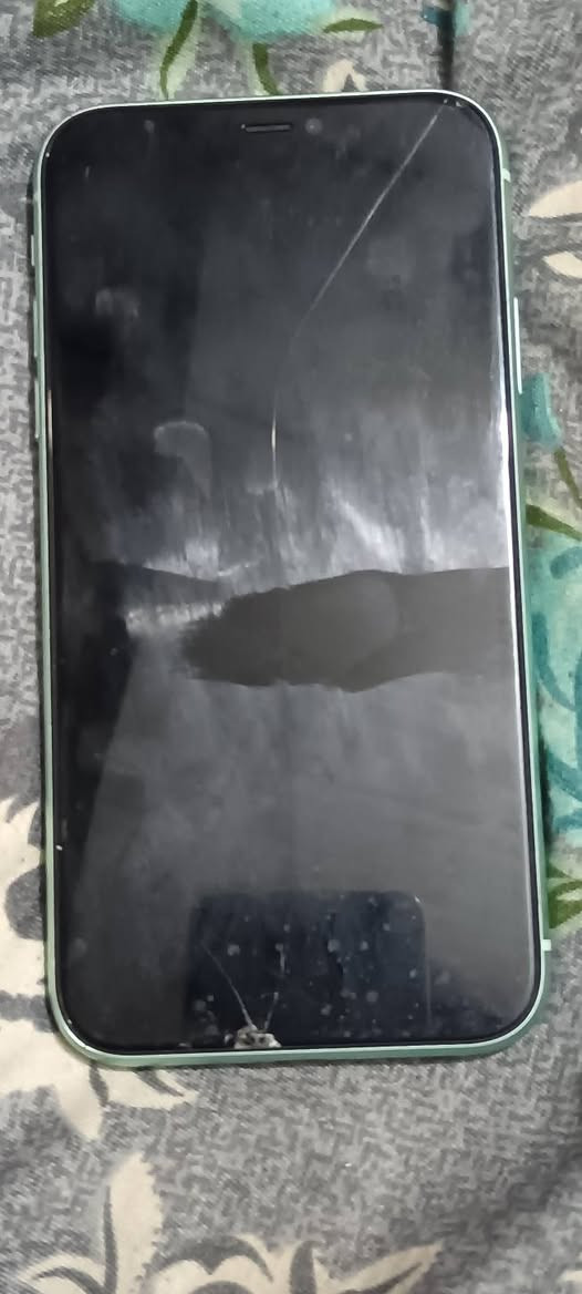 جهاز ايفون 11 العادي ذاكره 128 بطاريه 70 جهاز للبيع مراوس مكاني زعفراني


**إذا كنت صاحب هذا الإعلان وتريد حذفه لأي سبب، رجاءا أرسل رسالة إلى الدعم الفني**