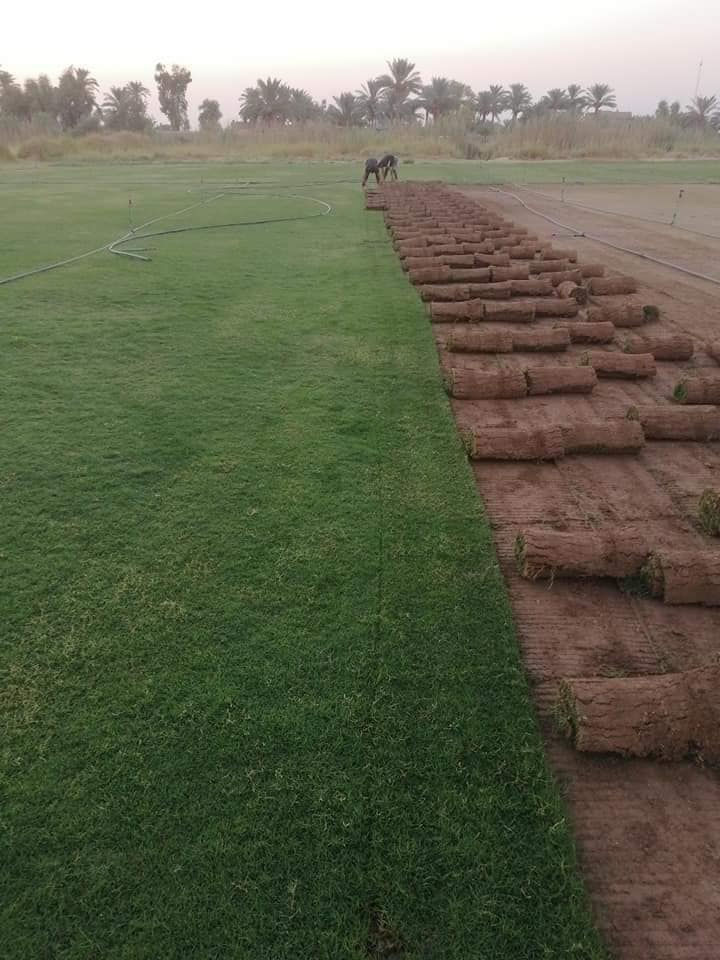 السلام عليكم مع بدء موسم زراعه الثيل وترتيب الحدائق وفرنا لكم جميع أنواع الثيل
ثيل هندي⛳️
ثيل امريكي ⛳️
ثيل ايطالي ورقي ⛳️
ثيل انكليزي جلد الغزال 
ثيل فرنسي ابو الورده 
مستعدين لعمل المنازل �
المتنزهات 🌱
الملاعب الرياضيه 
الدوائر الحكومية 
 🚜توصيل كافة جميع  محافظات العراق🚜
للاستفسار الاتصال 👆👆📲

***********
***********
***********
