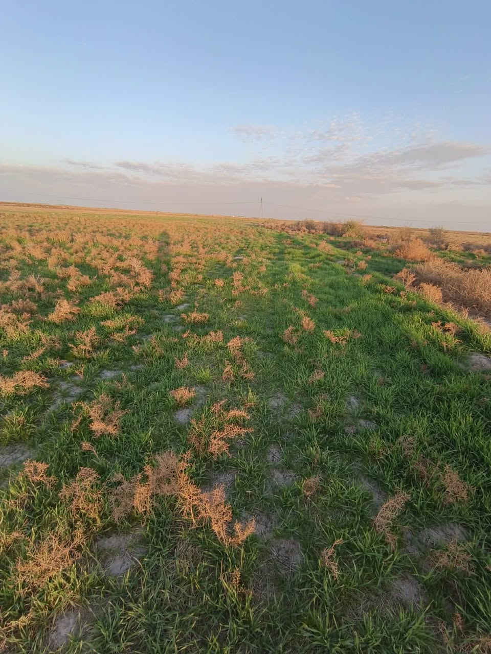 سفحه البيع 32دونم على طريق سيد محمد عكيل قرب حسينيه الفواطم  عله الشارع العام  التواصل عله الرقم فقط. *********** /***********
