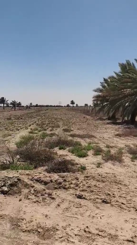 السلام عليكم عرض مميز خمسه دونم  بسعر مناسب جدا خلف جامعه بابل منطقه ربع سعود ..  طابو زراعي سند25
يا الله ⬇️
✅المساحه/خمسه دونم طابو زراعي سند 25..
✅الواجهه/100متر تقريباً وأكثر..
ما تبقى نزال يوجد بها مرتسم وسند حديث...
✅الخدمات متكامله ماء وكهرباء وماء سقي يوجد بها تبعد حوالي 500متر عن التبليط مال طريق ربع سعود ..
✅سند الأرض منفصل باسم شخص واحد تحويله مباشر للمشتري بعد الاتفاق والمكاتبه..
✅للاستفسار اكثر ومعرفه الاسعار زياره مكتب الهندسي للعقار الكائن حله تاجيه قرب بيت النائبه..
✅او الاتصال على الرقم التالي ⬇️⬇️📞 
✅#الرقم***********..
الاتصال بنا على الرقم مباشره من دون خاص أو تعليق وتعرفون السعر وكل التفاصيل...
⬇️فيديو للارض⬇️
