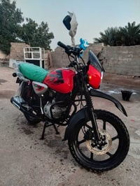 بوكسر جبلي • زيرو • كفالة عامة