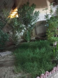 قرب مدرسة الصقر • ١٥٠م • ٣غرف