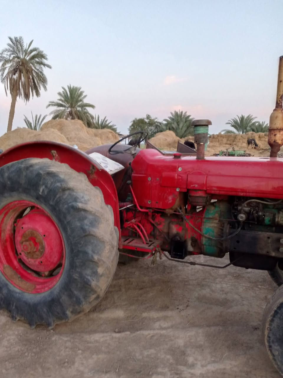 بولندا للبيع او مروس بعنتر مكانه نجف ناحيه القادسيه موبايل ***********
