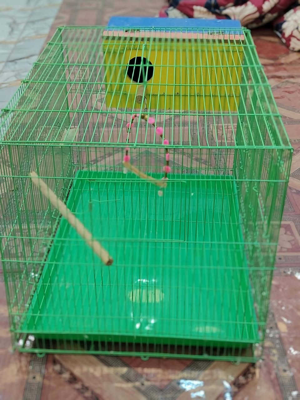 السلام عليكم قفص للبيع قياسه 40★ 60 جديد  سعر 14


**إذا كنت صاحب هذا الإعلان وتريد حذفه لأي سبب، رجاءا أرسل رسالة إلى الدعم الفني**