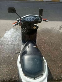 ماكس ثعلب • كهربائيات شغاله • صلاح الدين بيجي