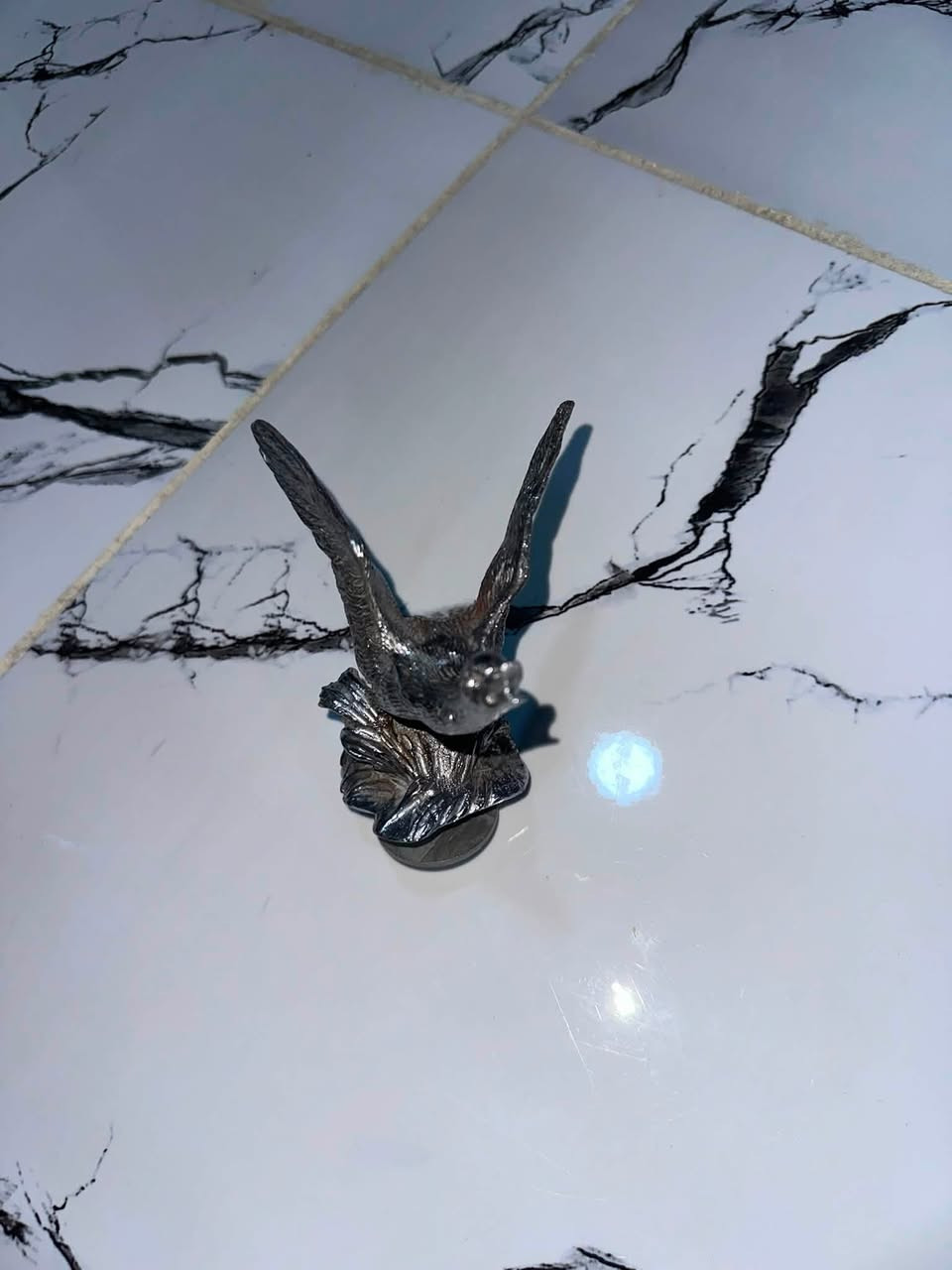 سلام عليكم طير 🦢 مالت سيبايه اصليه البيع سعر ٥٠ الف قفل ***********العنون تقاطع درويش المعالف
