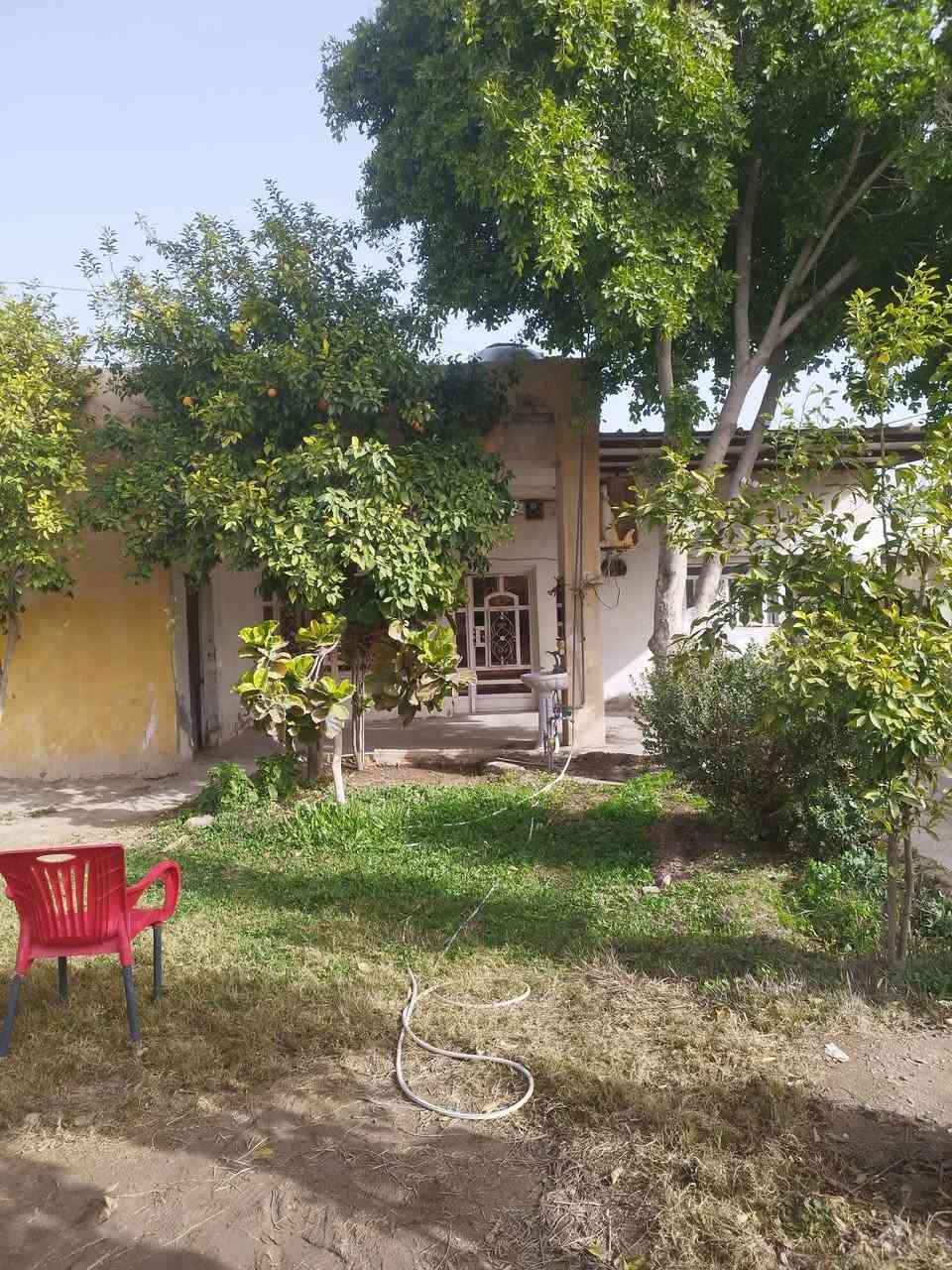 دونم طابو زراعي سند منفرد فورا مداور مع دار للبيع بناء 300 م واكثر اربع غرف نوم مطبخ حمام  تواليت صاله استقبال عكاده وكونكريت نضيف ساكنين بي كبير جدا حديقه مقدمه الدار 200 م بستان يحوي 50 نخله نشو مع تال ومكتوم كم وحده 100 حمضيات مع تين واجهه 17 م على شارع عام مقابل مدرسه العقيده فرع مبلط رئيسي 50 م تقريبا اسواق مجمع طبي مدارس كهرباء طوارئ ماء فول ساحه مقدمه دار مع تبليط الطبر السهر 110مليون مع المجال يرهم مراوس بيت طابقين اربع غرف نوم حديث موقع منتاز كربلاء المقدسه او طوريج للتواصل مع مكتب الجراح للعقار جمعيه طوريج ***********
