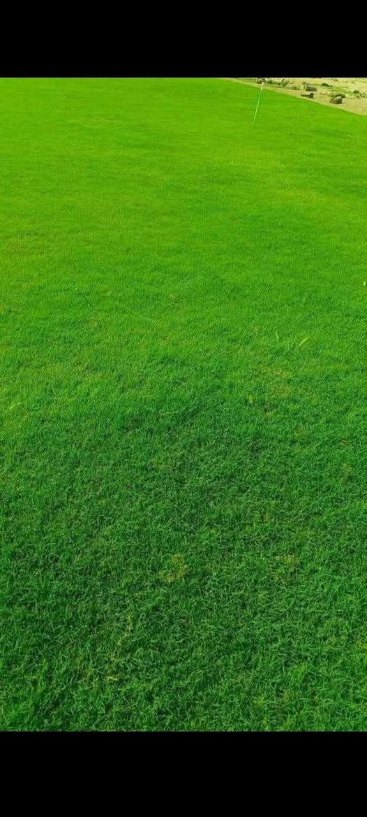 باسعار ثيل ديالى الطبيعي 🏡
أهلاً بكم في مجموعه مزارع ديالى لثيل الهندي الطبيعي 🌿🌱
 نقدم لكم افضل انوع الثيل الطبيعي عالي الجوده يتحمل كافه الضروف البيئية.🌦️🌞
دائم الخضرة🌿🌳 وباسعار تنافسيه وعروض مميزة ☘️❤️
#مستعدون لتجهيز وفرش الحدائق🏡 ودوائر الدولة🏡والمنازل🏡🏡
و تجهيز الملاعب🏟️ والمنتزهات بانسب الاسعار مع ضمان الجودة العالية في العمل👷👷

مع خدمة التوصيل خلال24ساعه🚛🚛
الاسعار 💵💸 تختلف حسب الكمية 
للاستفسار الاتصال على : 
او التواصل مع الصفحه عن طريق ارسال رسالة على الوتساب او الاتصال📞‏‪***********
