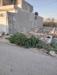 المدائن • 100م • سند35