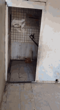 للايجار بغداد الشعب شارع الصحة 07771910361مكتب برج البنوك الايجار 550