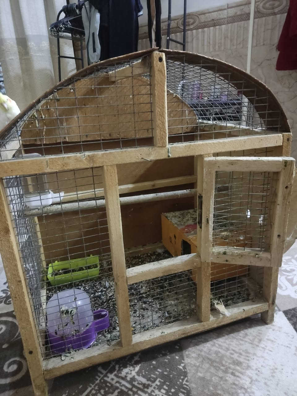 قفص طيور ٢٠ الف


**إذا كنت صاحب هذا الإعلان وتريد حذفه لأي سبب، رجاءا أرسل رسالة إلى الدعم الفني**