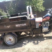 ستوته • أوراق كاملة • ميكانيك نضيف