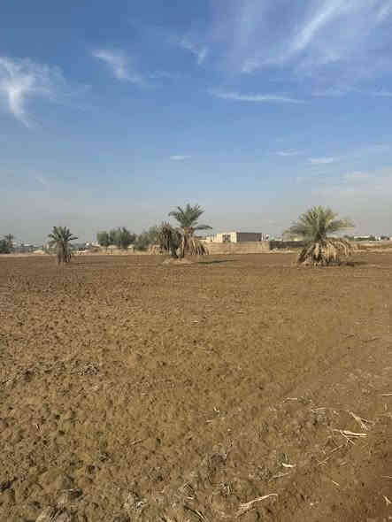 دونمين طابو زراعي سند 25 يم معمل الأسمنت الكوفه سعر الدونم الواحد 35 وبي مجال للاستفسار الاتصال على الرقام
***********
***********
