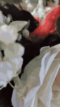 مجمع عباس • تزيين سيارات • ذي قار