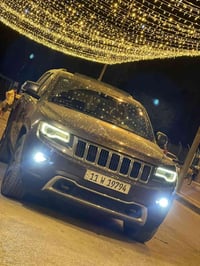 لاريدو • ٢٠١٤ • ١٢٤ الف كم