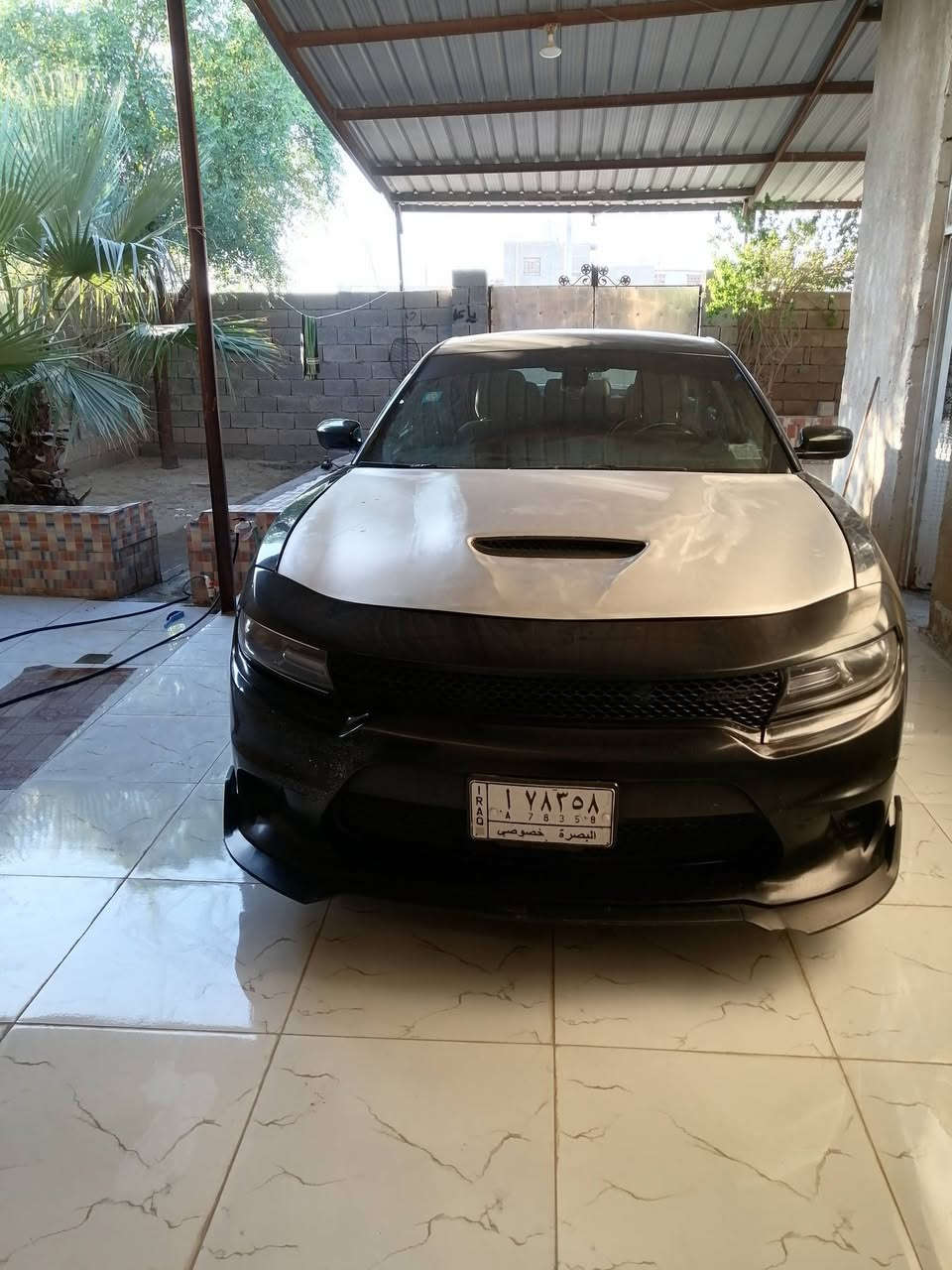 جارجر موديل2017 للبيع سعر160 حتى لو مراوس


**إذا كنت صاحب هذا الإعلان وتريد حذفه لأي سبب، رجاءا أرسل رسالة إلى الدعم الفني**