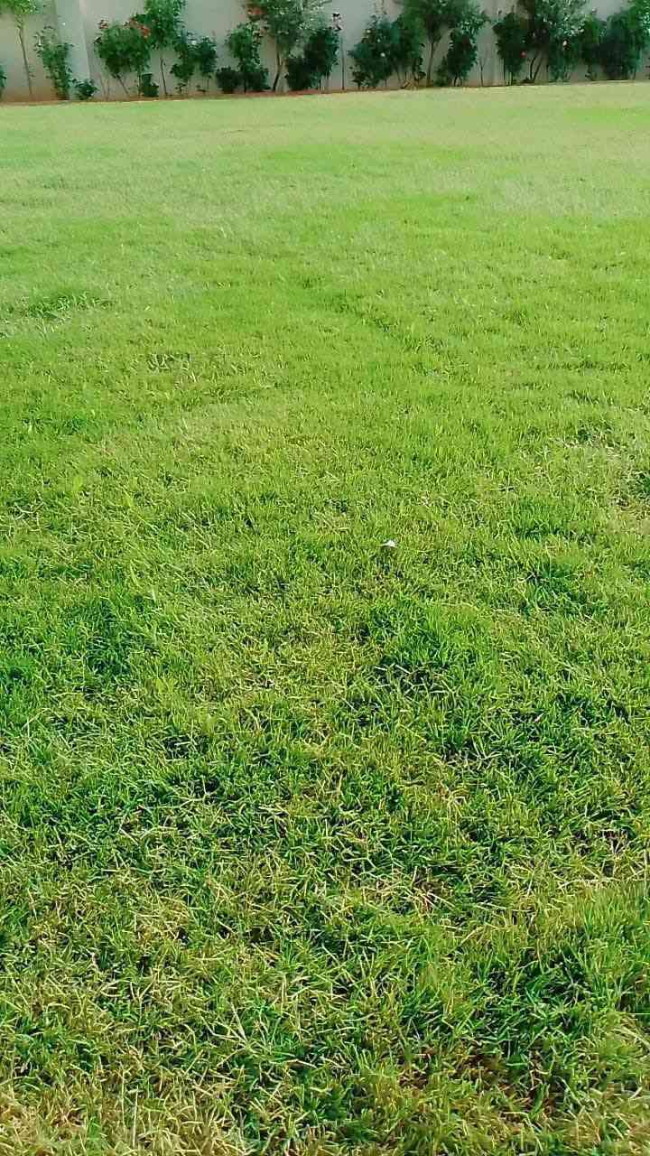 حديقجي في اربيل + تصميم وترتيب ديكورات
زرع حدائق + أدامه شهريه+ زرع اشجار + تقليم الأشجار +قص ثيل 
تنظيف وترتيب الحدائق + قلب وتنظيف تربه ترتيب +
تبديل تربه + ترتيب سياج الحدائق بل الملون 
ترتيب اطارات الحدائق بل حصو الملون الاستفسار 

واتساب ***********
