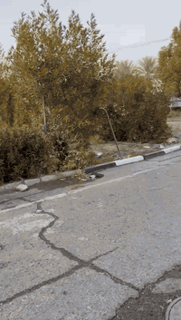 السلام عليكم
للبيع بيت ملك صرف مساحته ١٣٦
الموقع مدينه الذرى مقابل البيع مباشر
كامل خدمات كهرباء ٢٤ بدون انقطاع
شارع تبليط 
مقابيل البيت حديقه تشجير
مجاور البيت مركز صحي موقع البيت ممتاز 
يصلح للاستثمار بايجار ٦٠٠ 
جاهز للسكن
يحتوي ع غرفيتن نوم 
حولي مطبخ صحيات هول كراج
التفاصيل ***********
