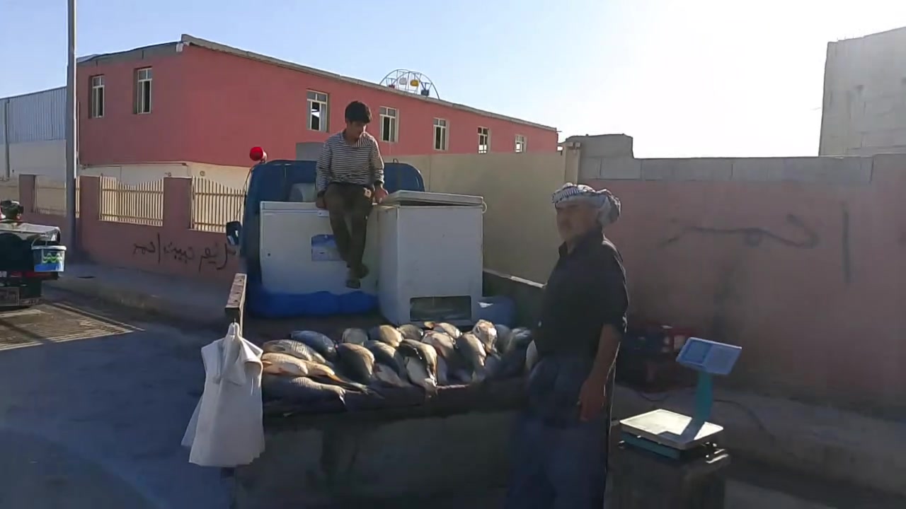 ابو شهيد ابن جلولاء ديالى يكول ارخص الاسعار ابيع سمج على مستوى ديالى. فقط 3500/شرط خشن ودرجى اولى


**إذا كنت صاحب هذا الإعلان وتريد حذفه لأي سبب، رجاءا أرسل رسالة إلى الدعم الفني**