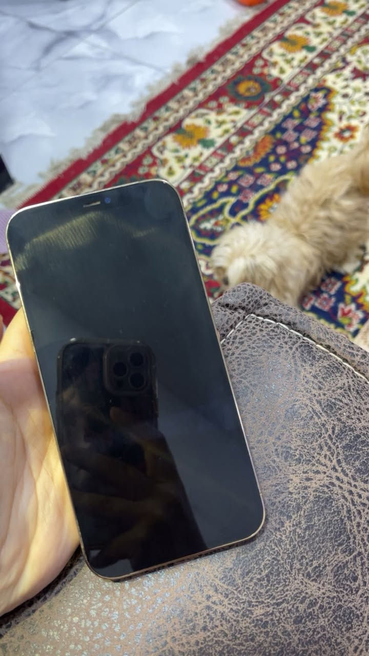 12 برو ماكس ذ256 بطارية 100 مبدل شاشة اصلية وبطارية الضهر مكسور مثل مموضح بالصور سعره 250 قفل مابي مجال نهائياً


**إذا كنت صاحب هذا الإعلان وتريد حذفه لأي سبب، رجاءا أرسل رسالة إلى الدعم الفني**