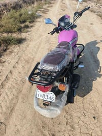 دايوان 2023 • محرك 200 • أوراق أصلية