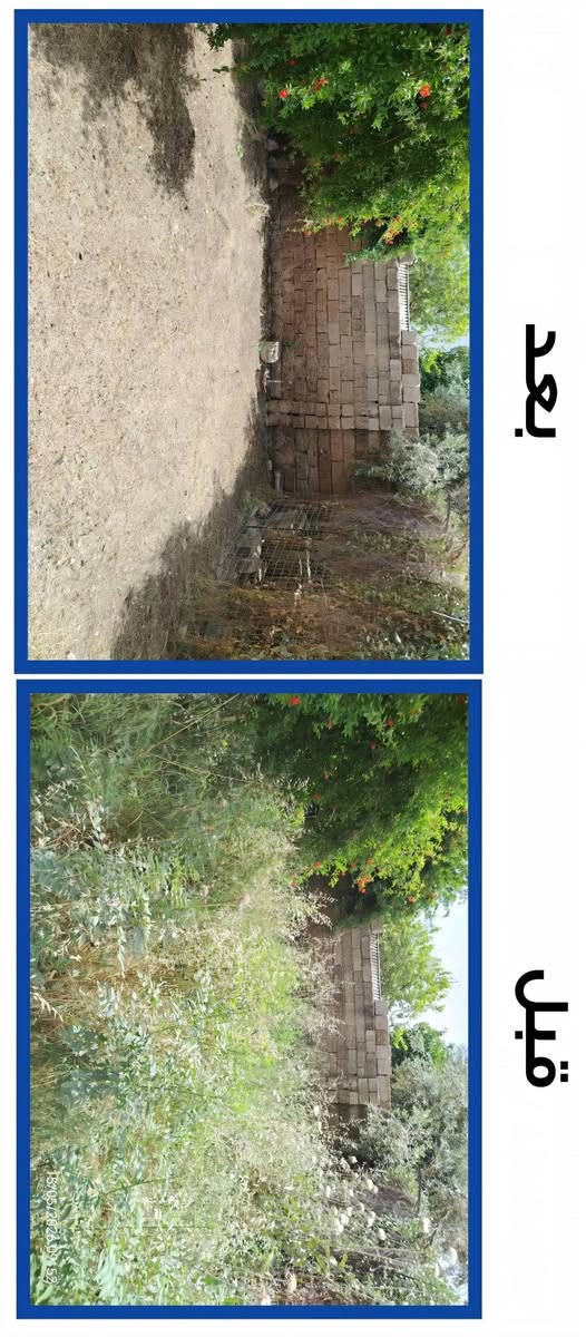 حديقتك مبعثرة؟ نحن نرتبها! 🌿
يتوفر لدينا كادر متخصص في:
​قص وتنسيق الثيل.
​إزالة الحشائش والأدغال فقط.
للتواصل: [ ***********]
