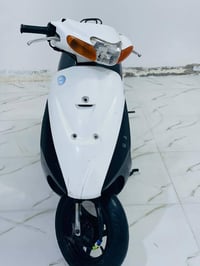 ساسوكي رياضي • مكفوله • ميسان المجر الكبير