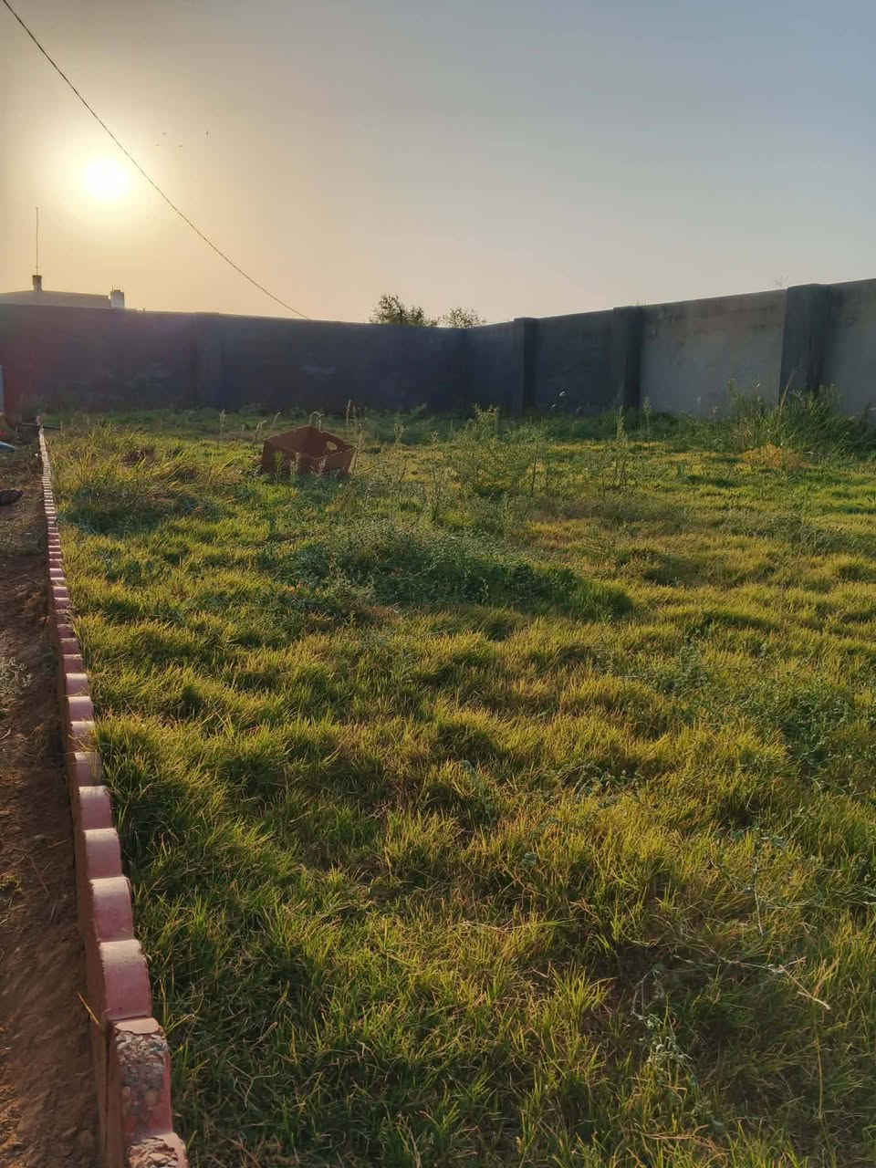 🙋 سلام عليكم 
مستعدين لترتيب حديقة وتنظيفها 🏡
وترتيب وتعديل اشجار 🪴🌲
وقطع اشجاراكبار 🌳🪾
وتنصيب حديقة من صفر 🏜️
كلشي وكلاشي يخص حديقة ماعليكم فقط💁 الاتصال 📱وتدللون🙆
***********
والصور مجموعة بسيطة من اعمالنة
