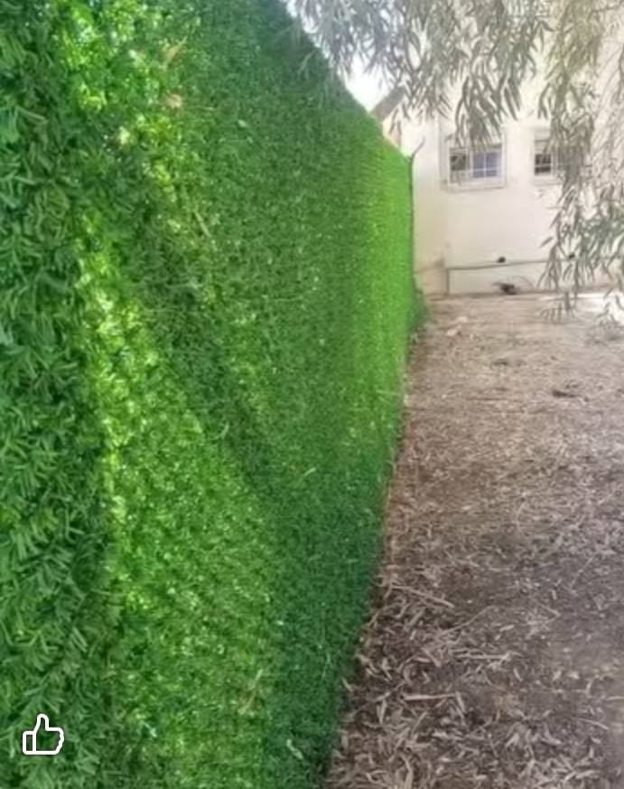 عمل ونصب اسيجة بيارسي بكافة أنواعها نعمل في جميع المحافظات ومستعدين تجهيز كافت دوائر  اتصل ***********.***********
