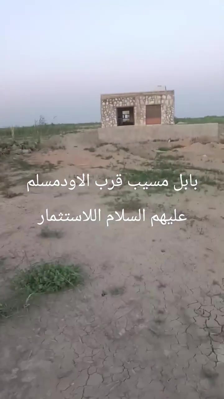 بابل ساعه عن سريع الدوره طابو زراعي تحويل ب اسم المشتري‏‪0781 136 8121‬‏
