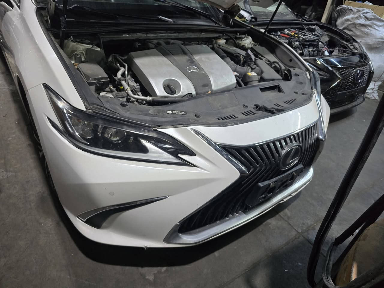 السلام عليكم ورحمة الله وبركاته 
من رخصة الأدمن المحترم 

تتوفر كل قطع غيار اللكزس وتتدللون 
أصلي وكاله وتفصيخ وتجاري 

من دبي إلى بغداد وإلى باقي المحافظات 
وبأسرع وقت ممكن 

رقم التواصل واتس آب فقط 

https://wa.me/9647709877070

مع تحياتي وتقديري للجميع 

أخوكم اياد


**إذا كنت صاحب هذا الإعلان وتريد حذفه لأي سبب، رجاءا أرسل رسالة إلى الدعم الفني**