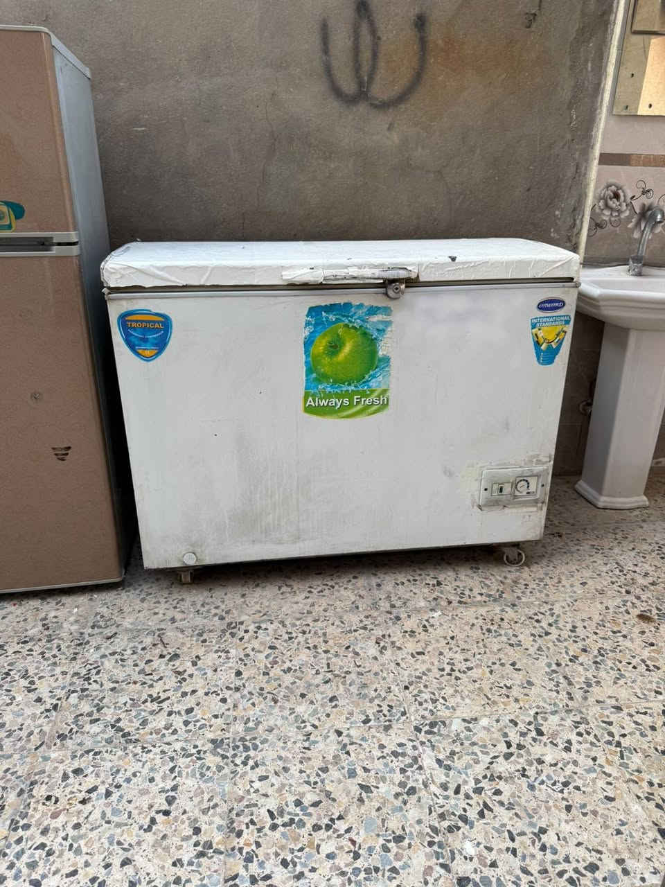 بابل القاسم مقابيل مديرية شرطة القاسم بفرع مضيف جاسم آل حمد *********** ابو كريم والسعر ٢٥٠ الف إلى ٣٥٠ الف حسب النضافه والحجم
